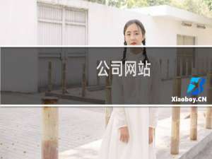 公司网站