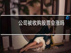 公司被收购股票会涨吗