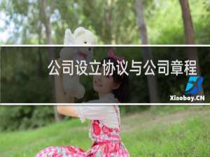 公司设立协议与公司章程