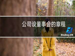 公司设董事会的章程