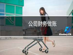 公司财务做账