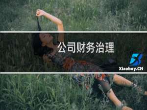公司财务治理