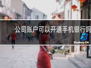 公司账户可以开通手机银行吗