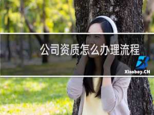 公司资质怎么办理流程