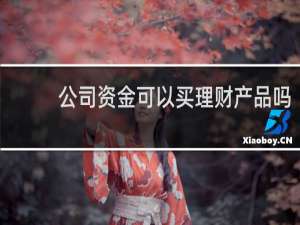 公司资金可以买理财产品吗
