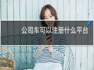 公司车可以注册什么平台
