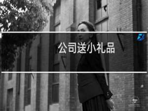 公司送小礼品