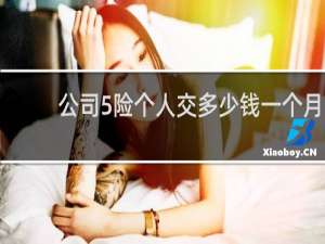 公司5险个人交多少钱一个月