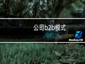 公司b2b模式