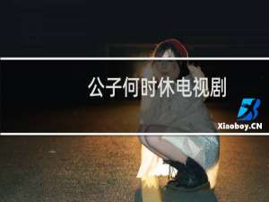 公子何时休电视剧