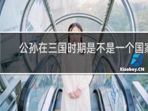 公孙在三国时期是不是一个国家