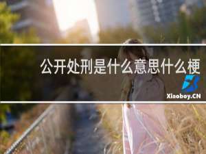 公开处刑是什么意思什么梗
