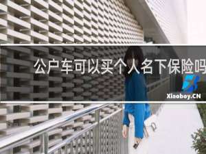 公户车可以买个人名下保险吗