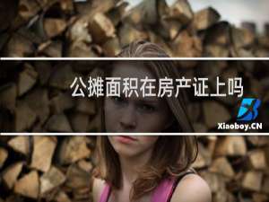公摊面积在房产证上吗