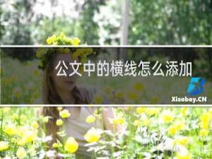 公文中的横线怎么添加（公文底下的横线怎么画）