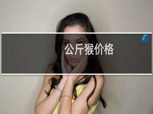 公斤猴价格