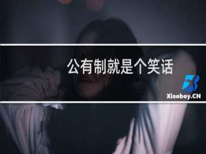 公有制就是个笑话
