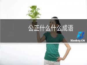 公正什么什么成语