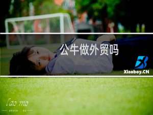 公牛做外贸吗