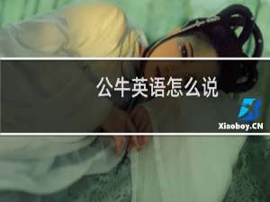 公牛英语怎么说