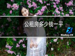 公租房多少钱一平