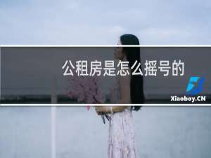 公租房是怎么摇号的