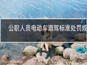 公职人员电动车酒驾标准处罚规定