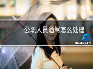 公职人员酒驾怎么处理