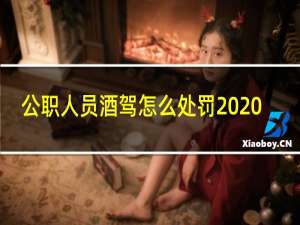 公职人员酒驾怎么处罚2020