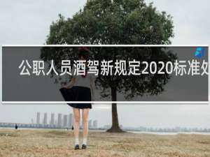 公职人员酒驾新规定2020标准处罚