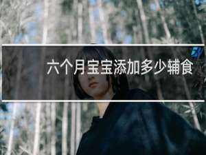 六个月宝宝添加多少辅食