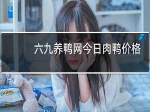 六九养鸭网今日肉鸭价格