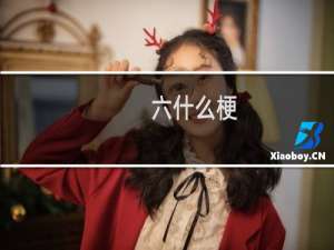 六什么梗
