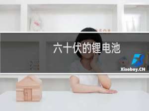 六十伏的锂电池