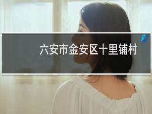 六安市金安区十里铺村金安苑小区（六安市金安区十大特产）