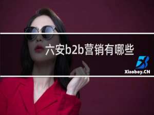 六安b2b营销有哪些