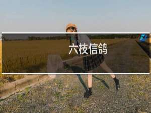 六枝信鸽
