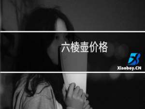 六棱壶价格