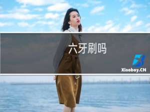六牙刷吗