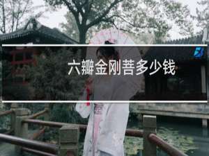 六瓣金刚菩多少钱