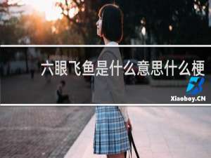六眼飞鱼是什么意思什么梗