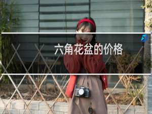 六角花盆的价格