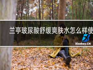 兰亭玻尿酸舒缓爽肤水怎么样使用