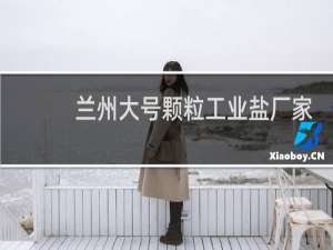 兰州大号颗粒工业盐厂家