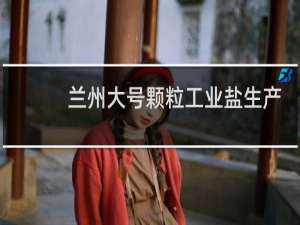 兰州大号颗粒工业盐生产厂家
