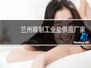 兰州精制工业盐供应厂家