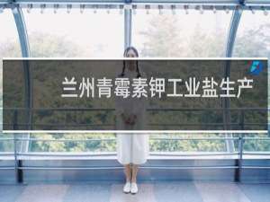兰州青霉素钾工业盐生产商