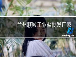兰州颗粒工业盐批发厂家