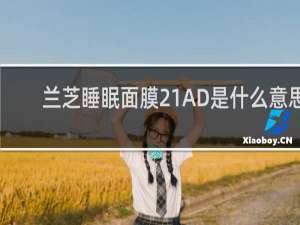 兰芝睡眠面膜21AD是什么意思