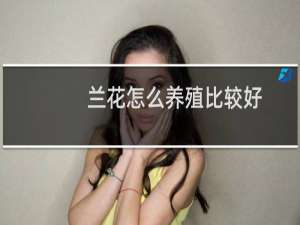 兰花怎么养殖比较好